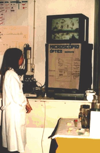 Acbio1.jpg (74951 bytes)